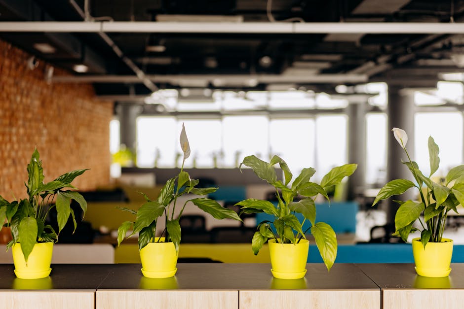 A peaceful home office workspace with plants, warm wood tones, and natural light
