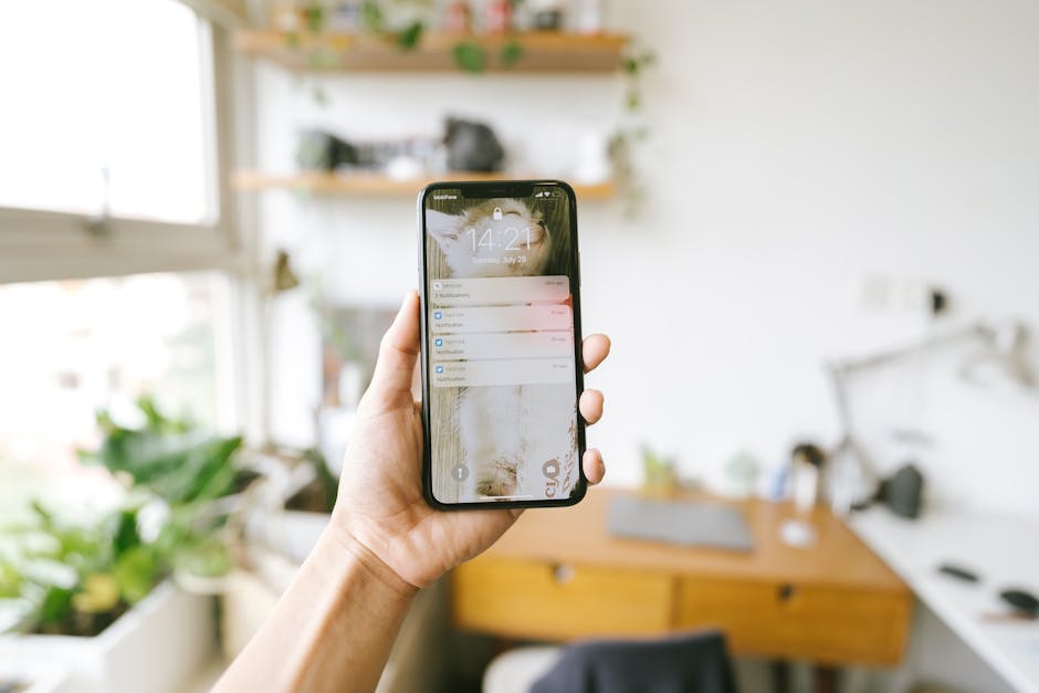 An iPhone resting on a wooden desk in warm morning light, with a soft notification visible on the screen