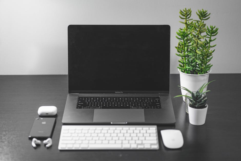 A smartphone resting on a minimal light wood desk beside a small green plant, in soft afternoon light