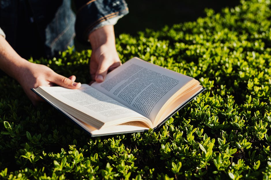 A person enjoying free time in a park, reading peacefully